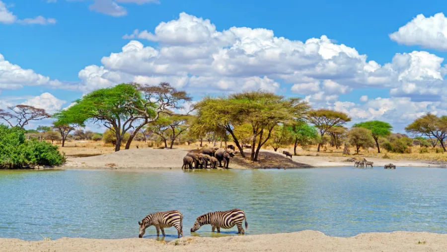  Tailor-made Lake Natron safari itineraries